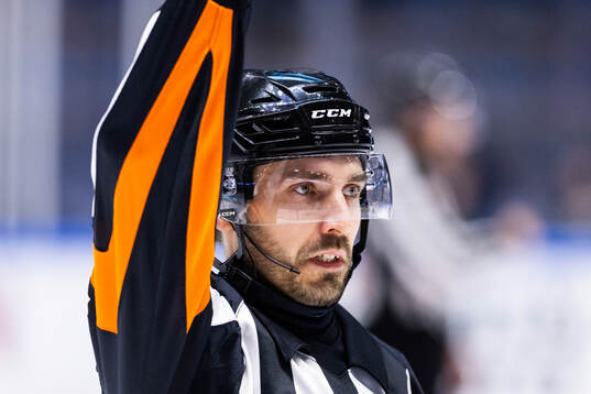 Domare Mikael Sjöqvist