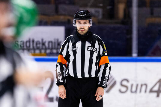 Domare Mikael Sjöqvist