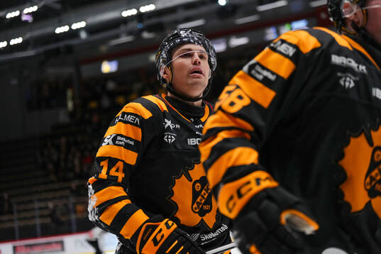 Skellefteås Andreas Johnson jublar