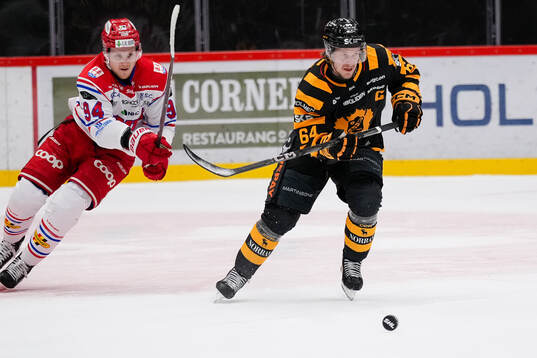 Timrås Sebastian Hartmann och Skellefteås Jonathan Pudas