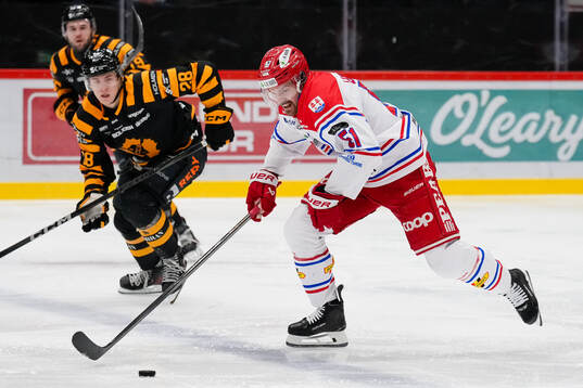 Skellefteås Michael Brandsegg-Nygård och Timrås Anton