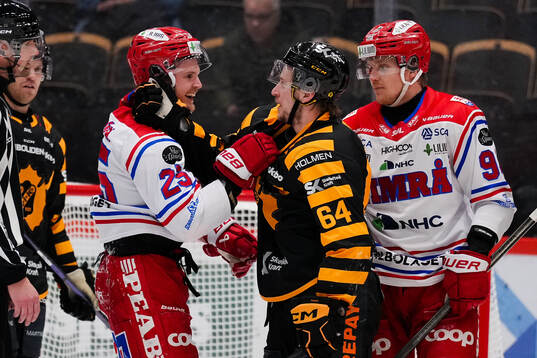 Timrås Linus Nässén och Skellefteås Jonathan Pudas  och