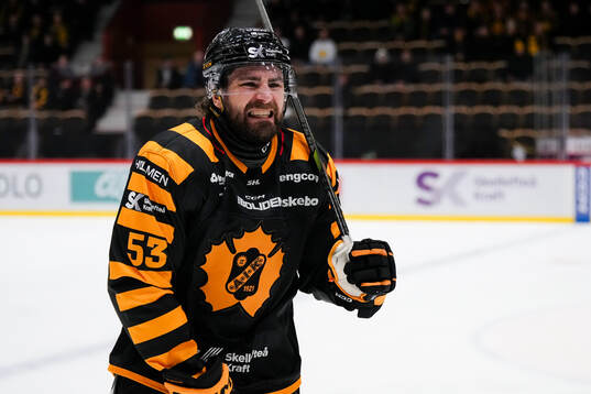 Skellefteås Luke Witkowski