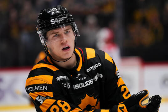 Skellefteås Michael Brandsegg-Nygård