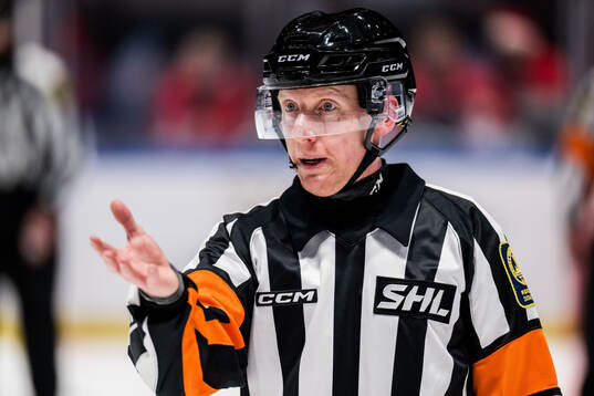 Domare Mikael Holm