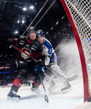 Malmö Redhawks Robin Salo