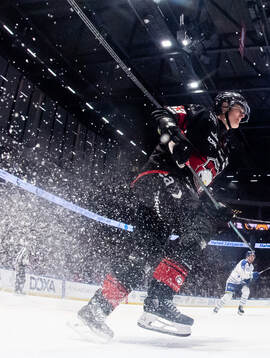 Malmö Redhawks Fredrik Händemark