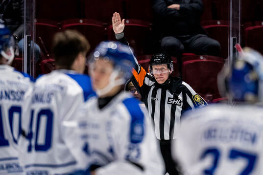 Domare Mikael Holm
