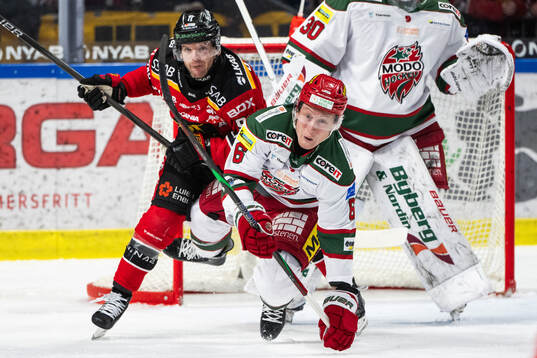 Luleås Brian O'neil och Modos Paul Ladue