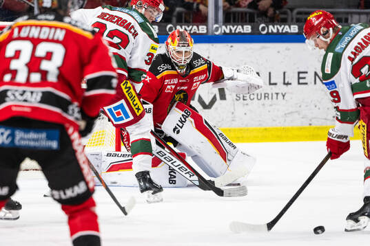 Luleås målvakt Matteus Ward