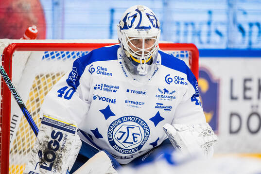 Leksands målvakt Mantas Armalis