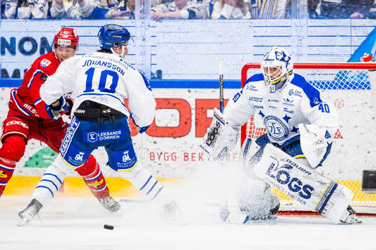 Leksands målvakt Mantas Armalis och Leksands Anton