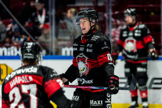 Malmö Redhawks Robin Salo