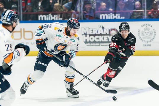 Växjös Hugo Gustafsson och Malmö Redhawks Henrik Haapala