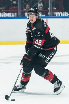Malmö Redhawks Robin Salo