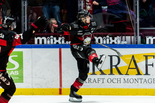 Malmö Redhawks Johan Olofsson jublar