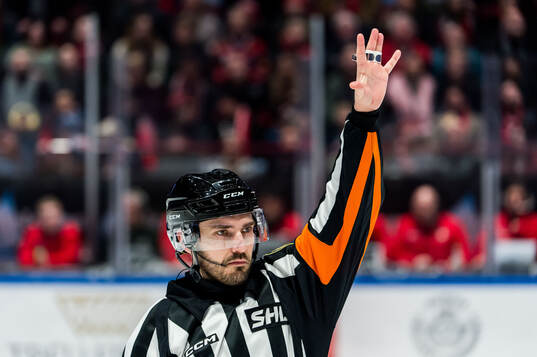 Domare Mattias Enroth