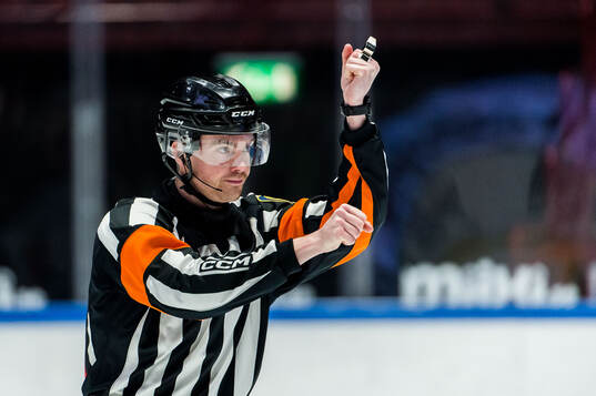 Domare Filip Eriksson