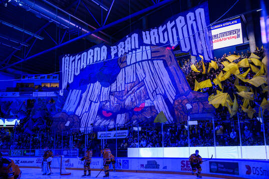 HV71s  Tifo