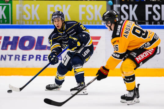 HV71s Jonathan Ang och Luleås Pontus Andreasson