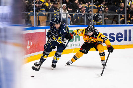 HV71s Joona Luoto och Luleås Brian O'neil