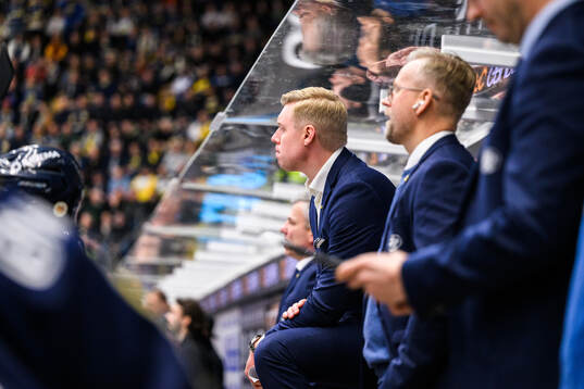 HV71s  tränare Anton Blomqvist