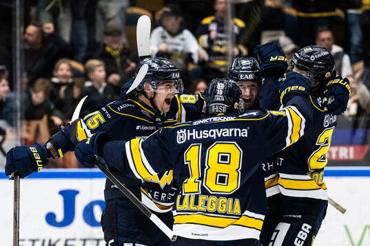 HV71s Radan Lenc jublar