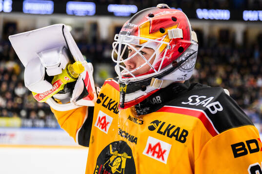 Luleås målvakt Matteus Ward