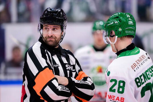 Domare Mikael Sjöqvist