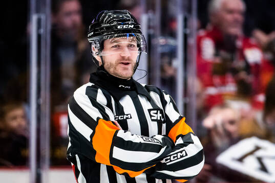 Domare Richard Magnusson