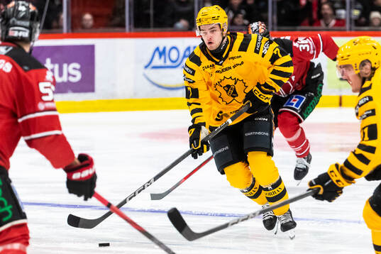 Skellefteås Frans Haara