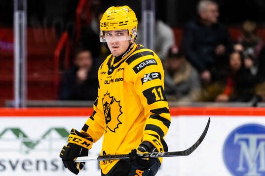 Skellefteås Max Lindholm