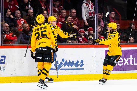 Skellefteås Rickard Hugg jublar