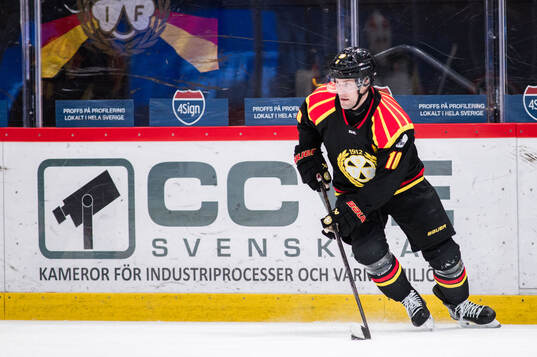 Brynäs Johan Larsson