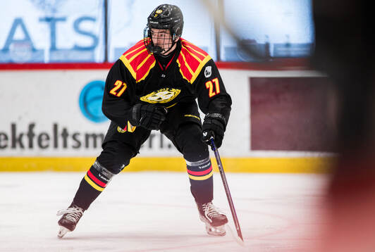 Brynäs Gustav Hillström