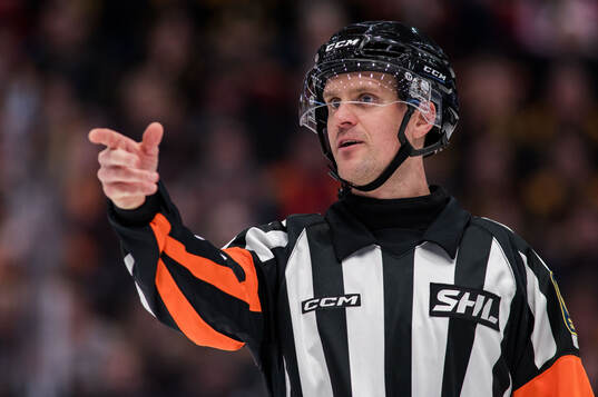 Domare Stefan Leijonklo