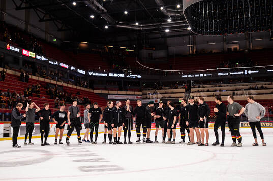 Brynäs spelare jublar