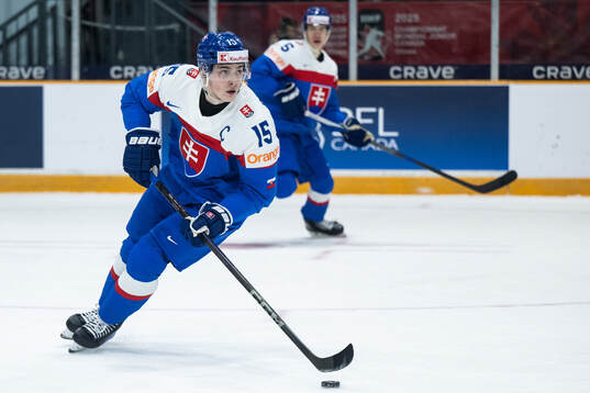 Dalibor Dvorsky of Slovakia