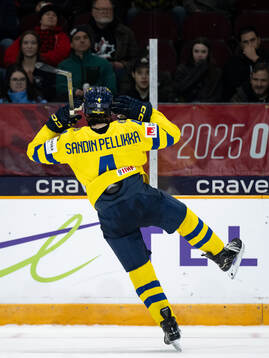 Axel Sandin-Pellikka of Sweden celebrates