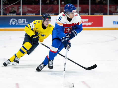 Zeb Forsfjäll of Sweden and Jakub Chromiak of Slovakia