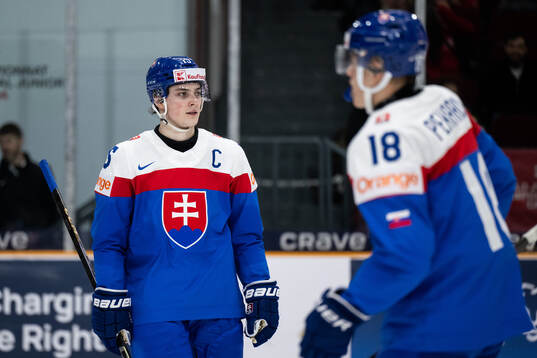 Dalibor Dvorsky of Slovakia