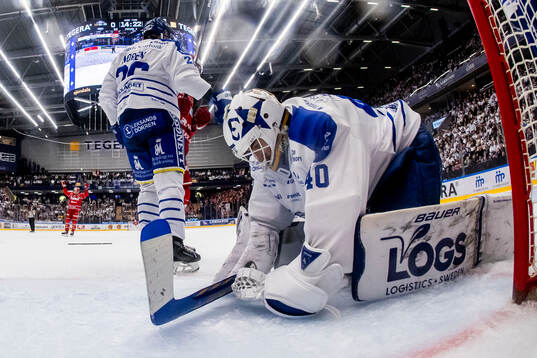 Leksands målvakt Mantas Armalis deppar