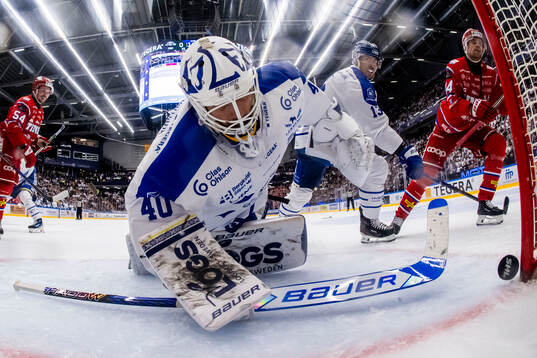 Leksands målvakt Mantas Armalis deppar