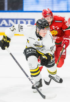 AIKs Theo Hårdstam