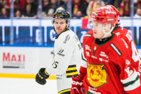 AIKs Theo Hårdstam