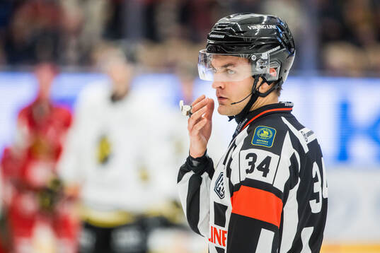 Domare Niclas Lundsgaard