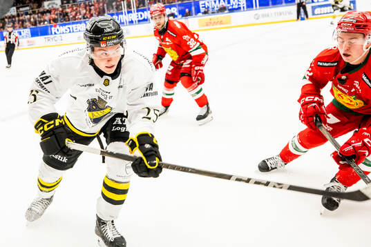 AIKs Theo Hårdstam