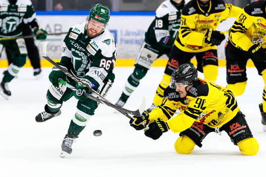 Tingsryds Jesper Sellin och Vimmerbys Kalvyn Watson