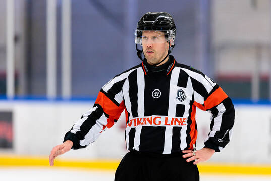 Domare Johan Magnusson