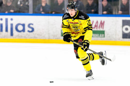 Vimmerbys Elias Lindgren